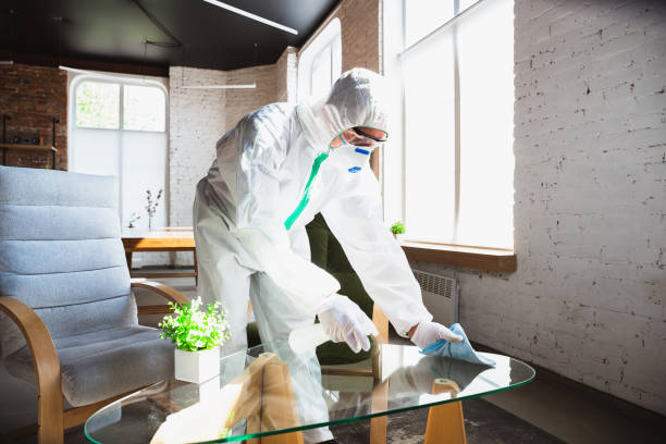 Best Comprehensive Air Testing for Mold Contaminants in Grove Hill, AL